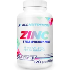 Cynk (ZINC) 120pastylek