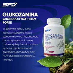 Glukozamina Chondroityna + Msm Forte 120 kapsułek