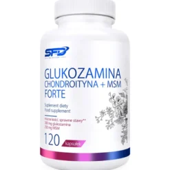 Glukozamina Chondroityna + Msm Forte 120 kapsułek