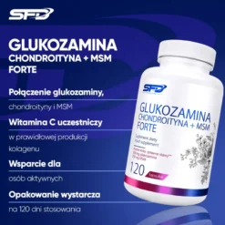 Glukozamina Chondroityna + Msm Forte 120 kapsułek