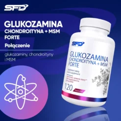 Glukozamina Chondroityna + Msm Forte 120 kapsułek