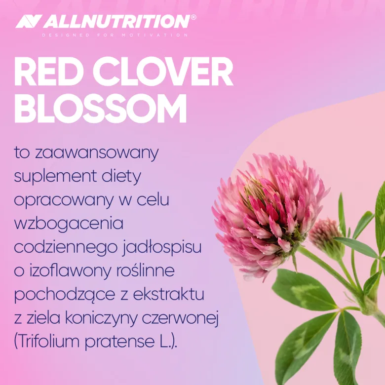 Red Clover Blossom Czerwona koniczyna 60 kapsułek