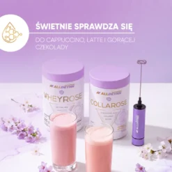 Spieniacz do mleka 1 szt.