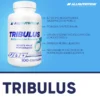 Tribulus 100 kapsułek